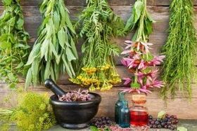 Herbs for efficiency